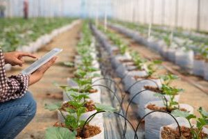 smart irrigation system